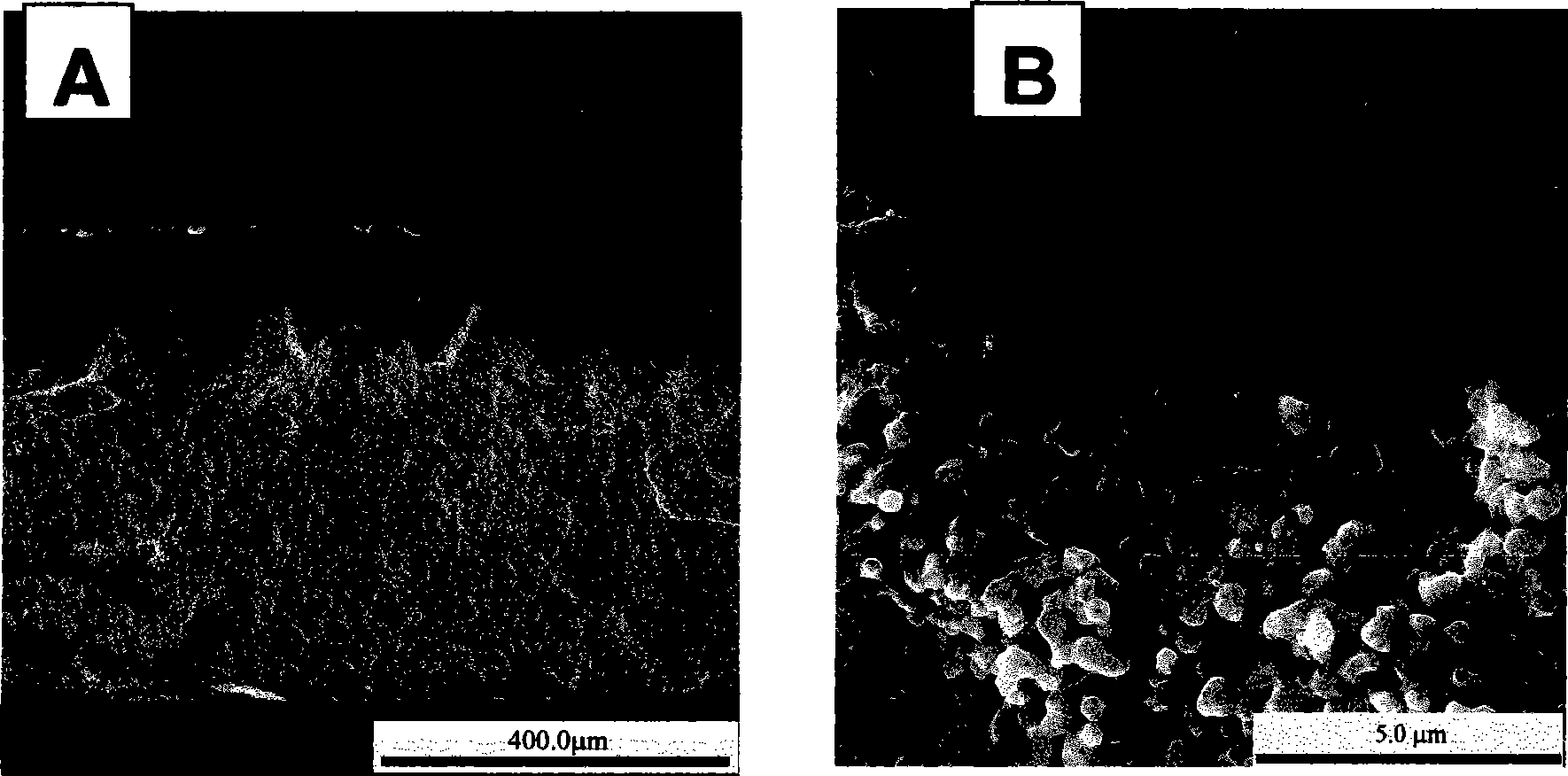 Method for preparing unsymmetrical biphase composite oxygen permeable membrane