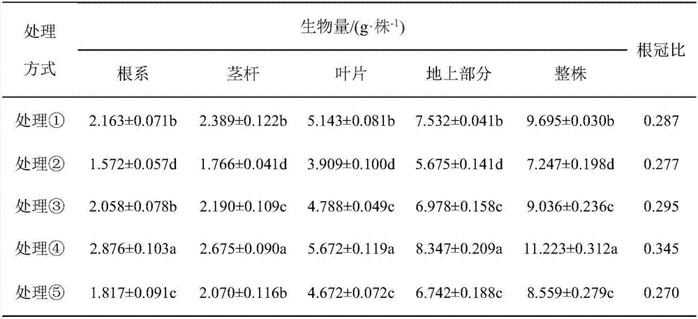 Method of growing of grape by effective reduction of cadmium accumulation and complying of steady output