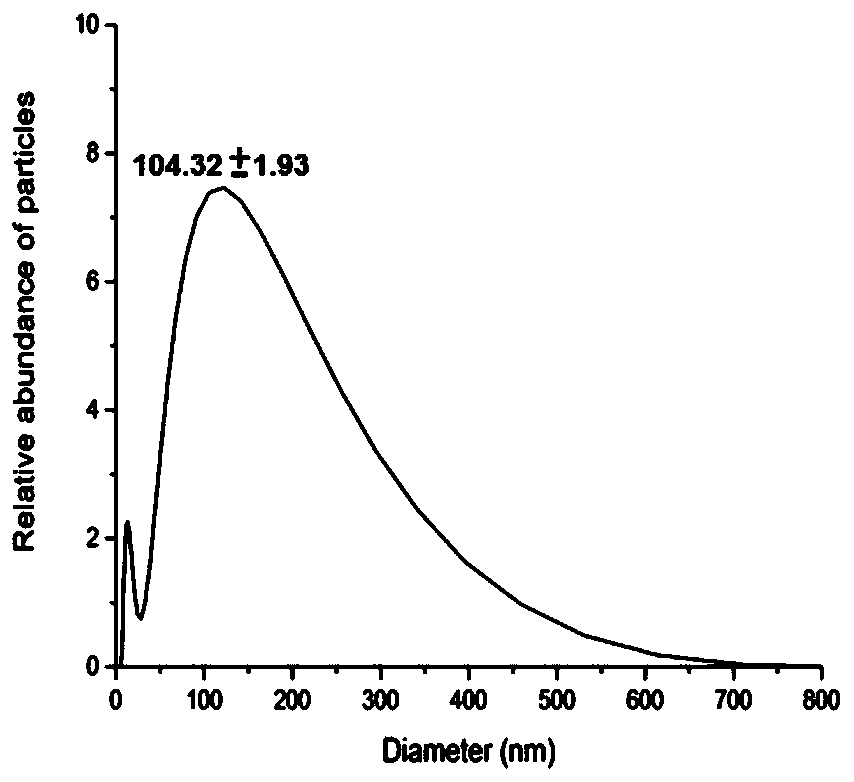 Nicotinic acetylcholine receptor targeted circDYM over-expressed exosome, and preparation method and application thereof