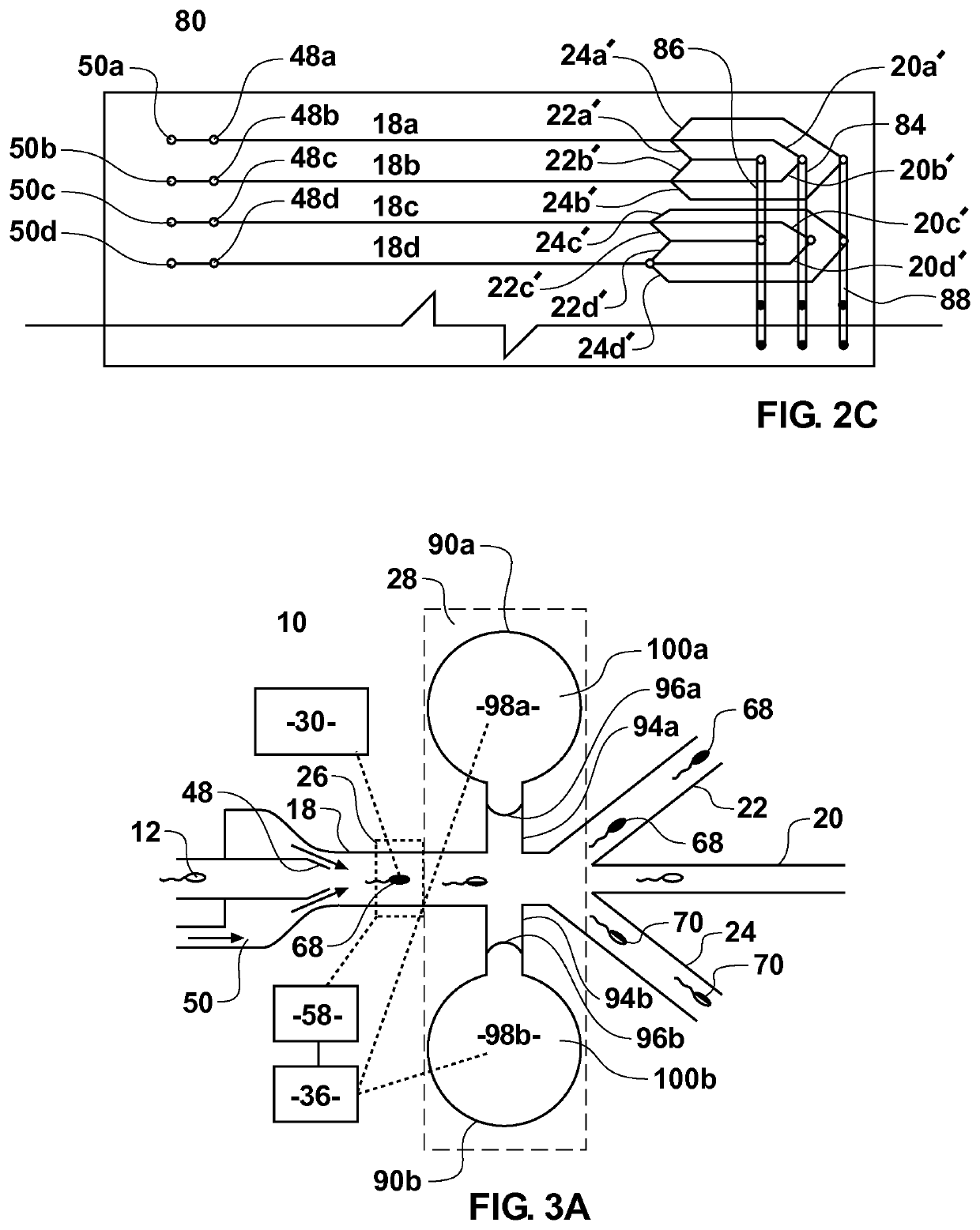 Methods for high throughput sperm sorting