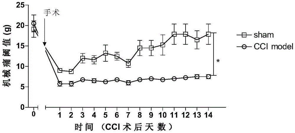 Application of sinomenine in the preparation of drugs for the treatment of chronic pain accompanied by depressive behavior