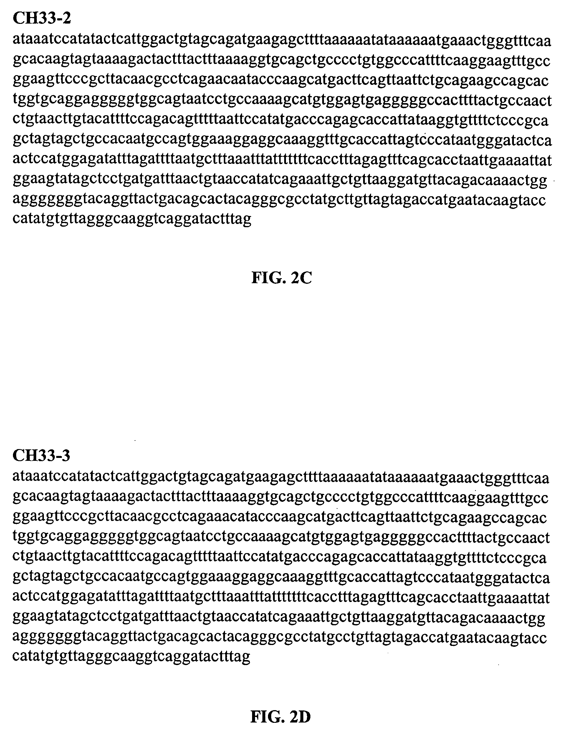 Diagnostic assays for parvovirus B19