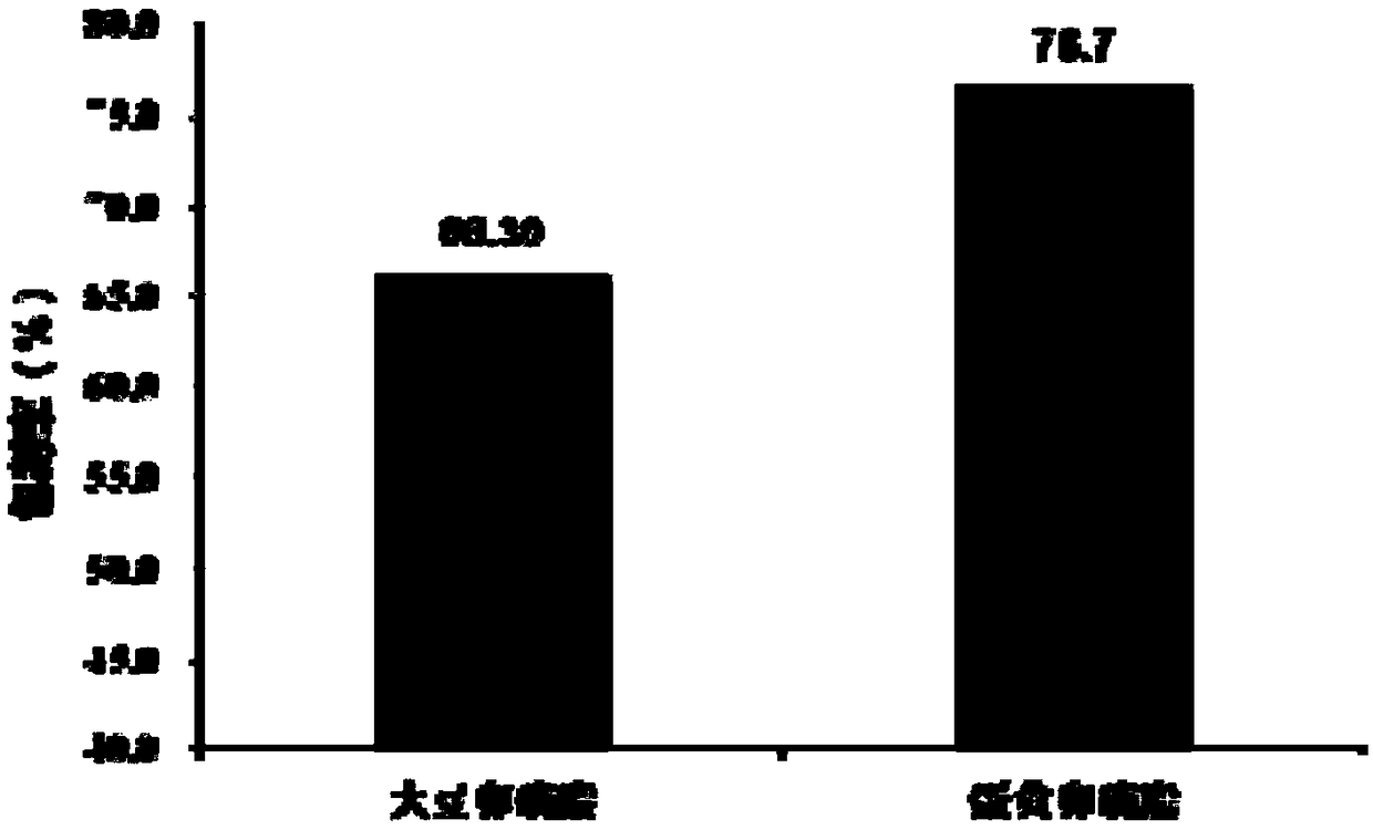 Making method of health-care food of coenzyme Q10 liposome