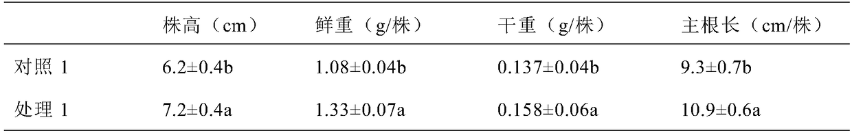 Mineral compound fertilizer for desert sclerophyllous xerophytes and application of mineral compound fertilizer