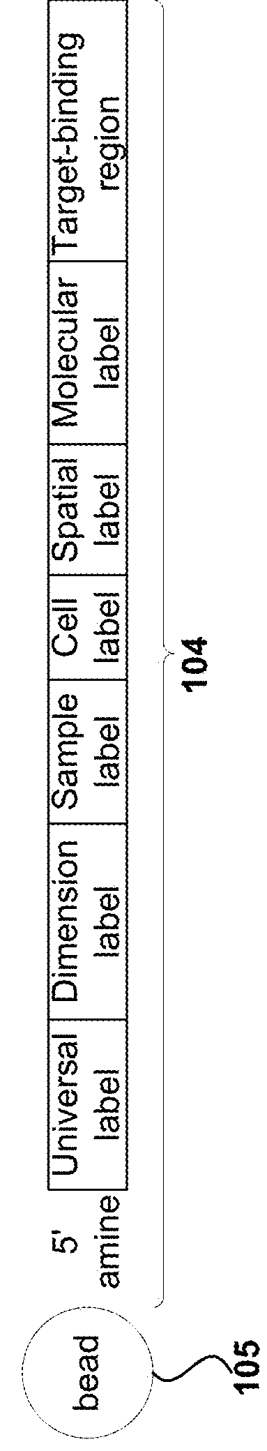 Measurement of protein expression using reagents with barcoded oligonucleotide sequences