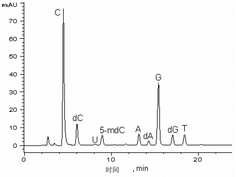 Method for high performance liquid chromatography(HPLC)-mass spectrometry (MS) detection of DNA oxidation and DNA methylation