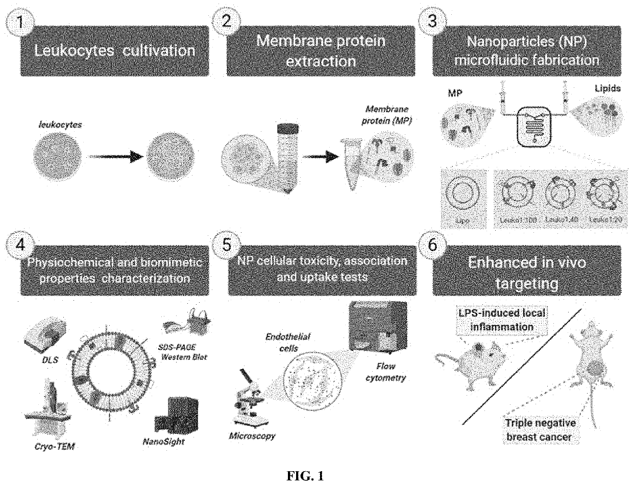 Tunable leukocyte-based biomimetic nanoparticles and methods of use