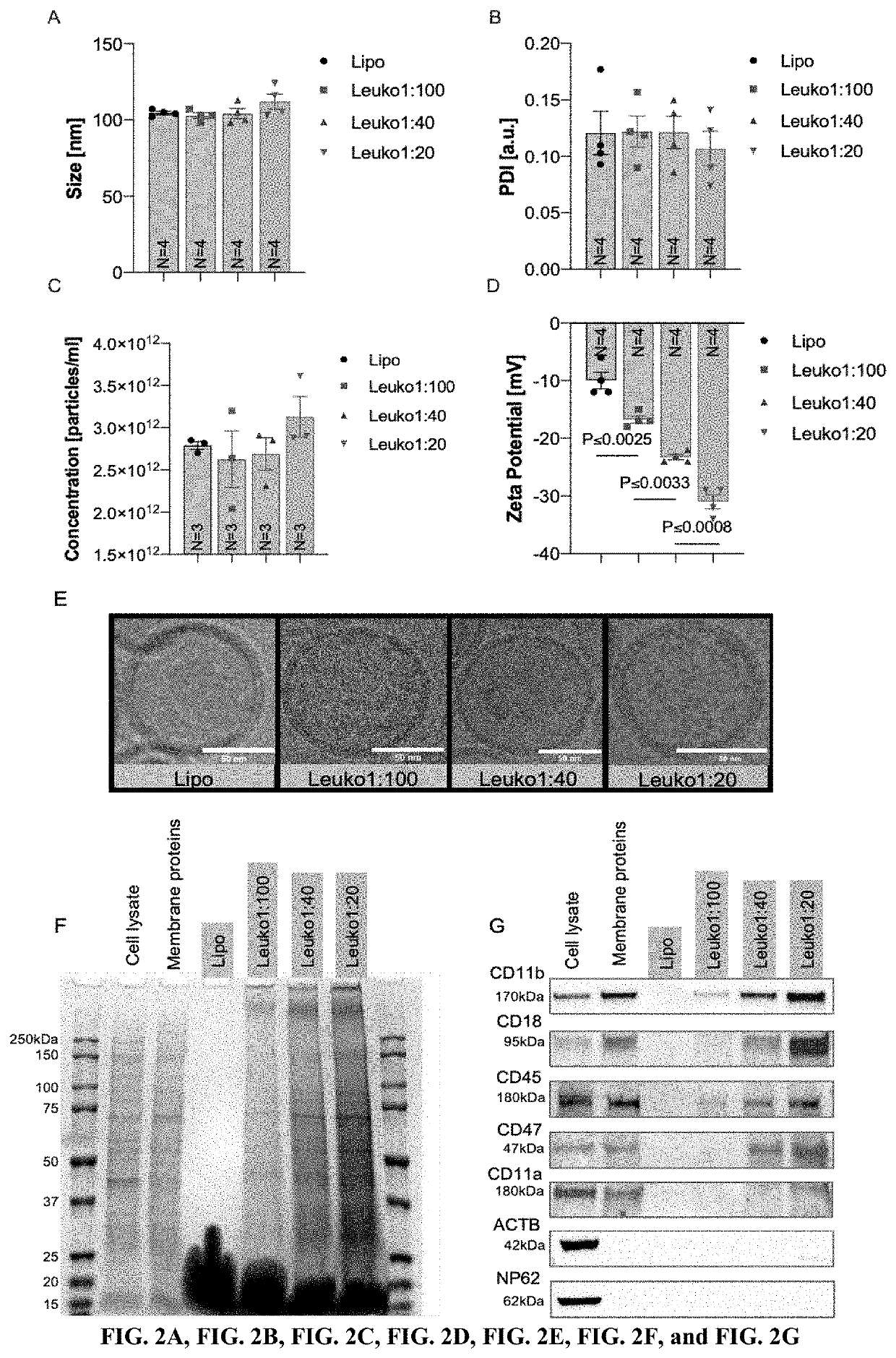 Tunable leukocyte-based biomimetic nanoparticles and methods of use