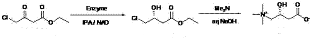 Synthetic method for L-carnitine