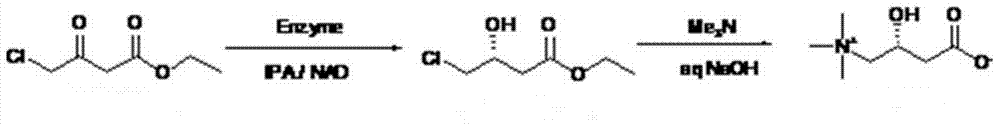 Synthetic method for L-carnitine