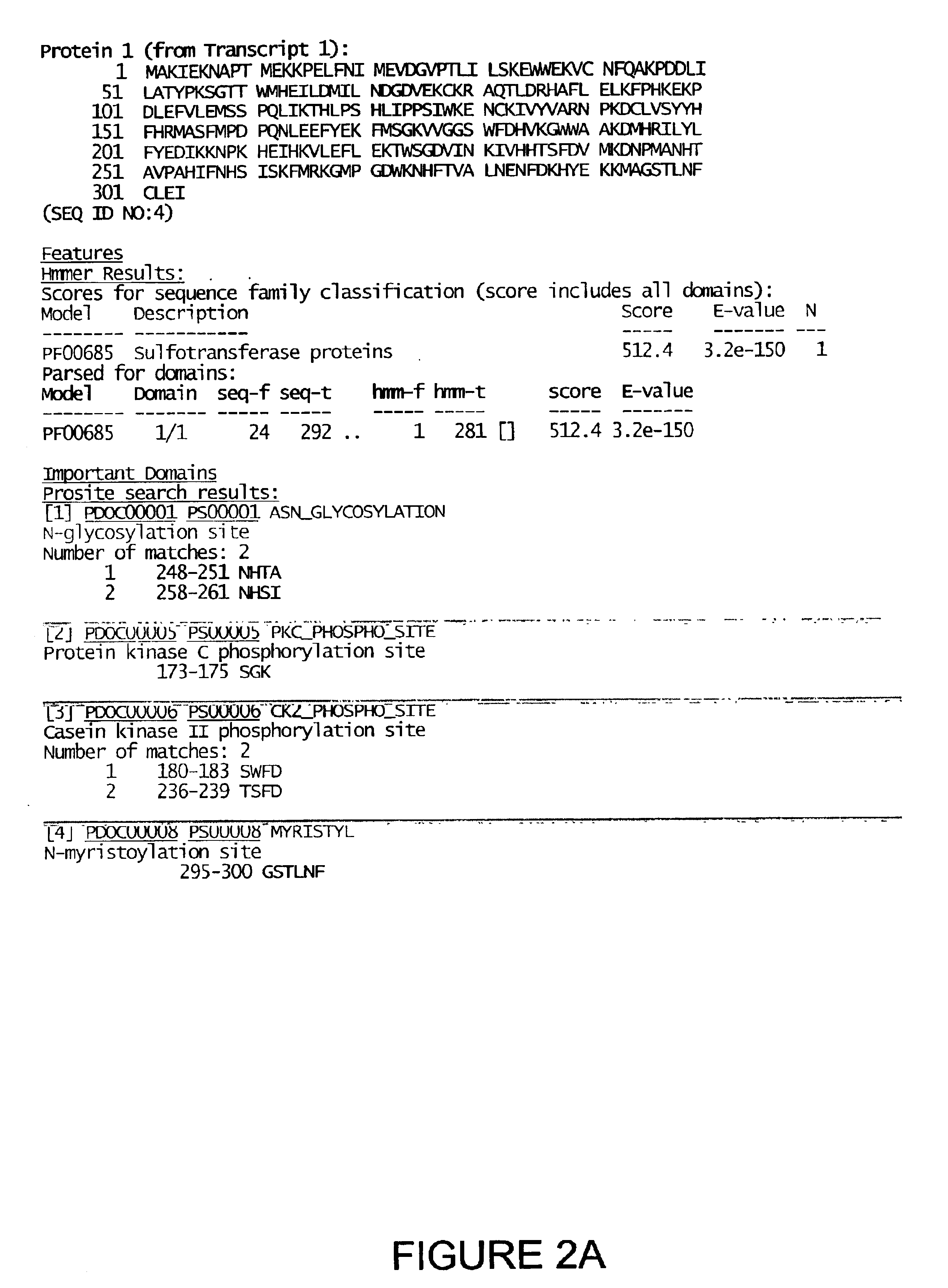 Isolated human drug-metabolizing proteins, nucleic acid molecules encoding human drug-metabolizing proteins, and uses thereof