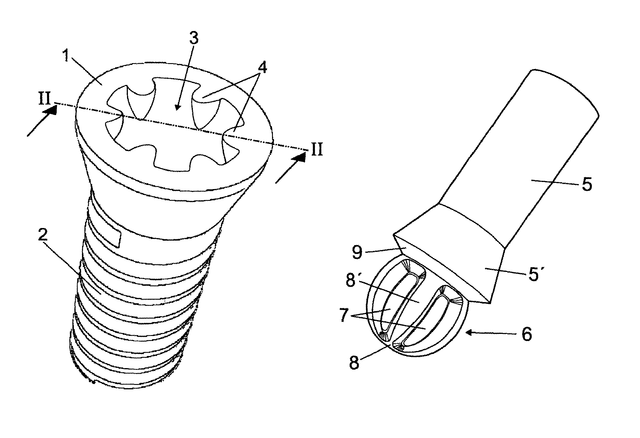 Coupling structure between screw head and tightening tool