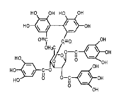 Extraction method for pomegranate foline