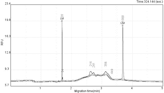 Set of primer group and method capable of simultaneously detecting mediterranean anemia, epicophosis, phenylketonuria and hepatolenticular degeneration