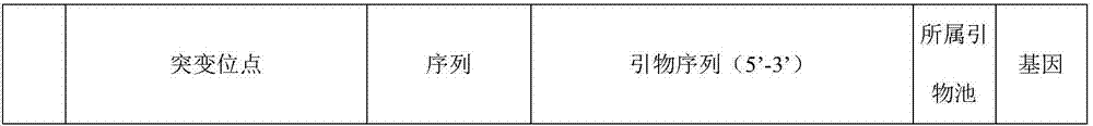 Set of primer group and method capable of simultaneously detecting mediterranean anemia, epicophosis, phenylketonuria and hepatolenticular degeneration