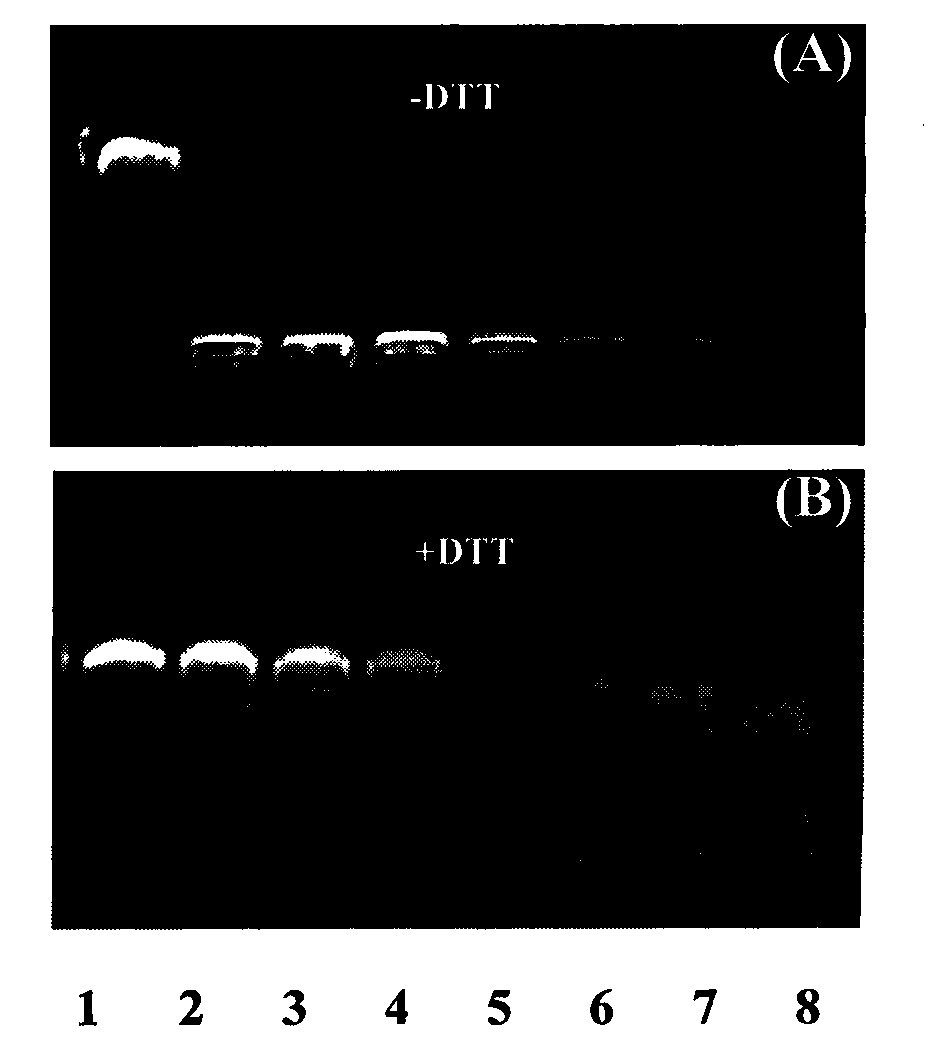 Cationic polymer as well as preparation method and application thereof