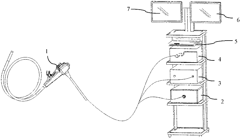 Electronic colonoscope system having night vision function