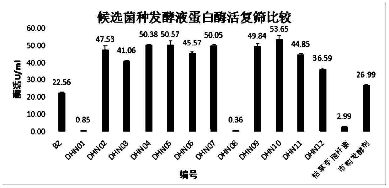 Bacillus amyloliquefaciens, fermented seed liquid thereof, application and soybean meal fermentation method