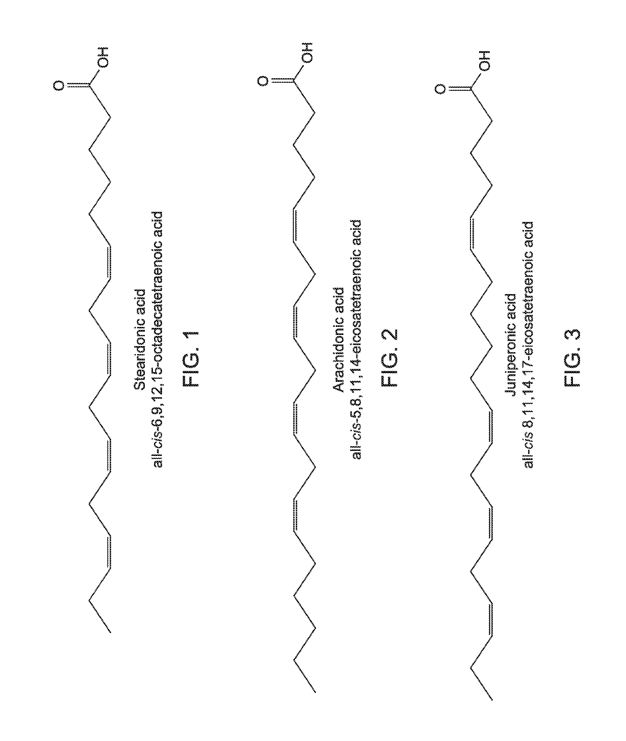 Methods and compositions for preventing and treating osteoporosis