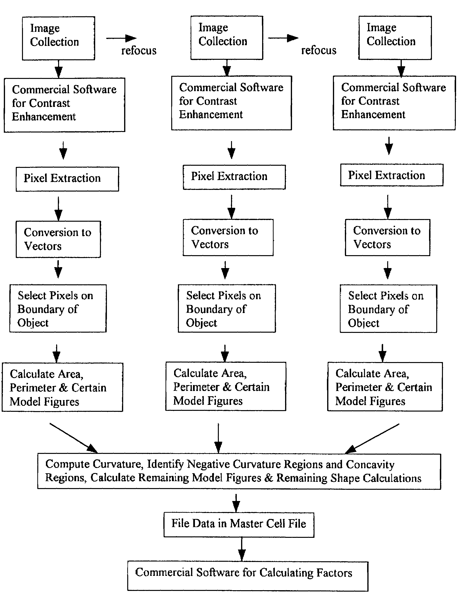 Method of assaying shape and structural features in cells