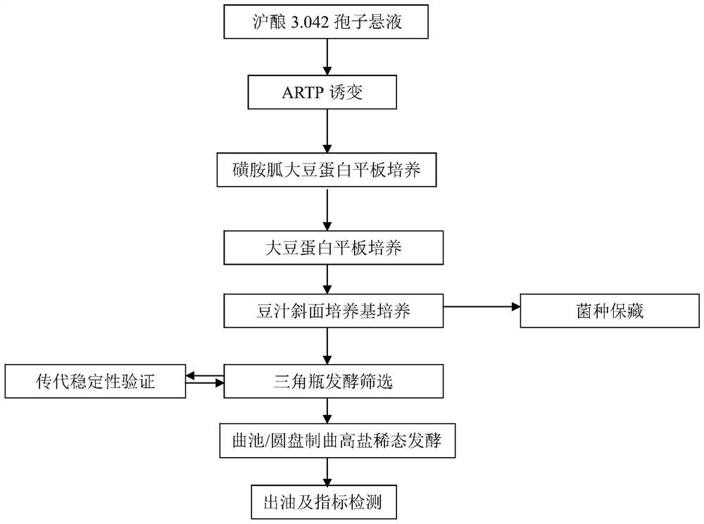 A strain of Aspergillus oryzae za122 and its application