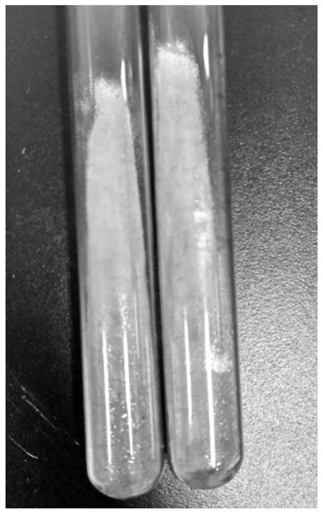 A strain of Aspergillus oryzae za122 and its application