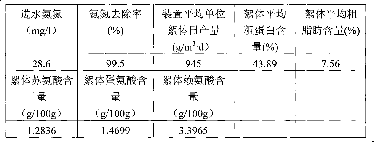 Device and method for protein feed production by recycling of aquaculture wastewater treatment process