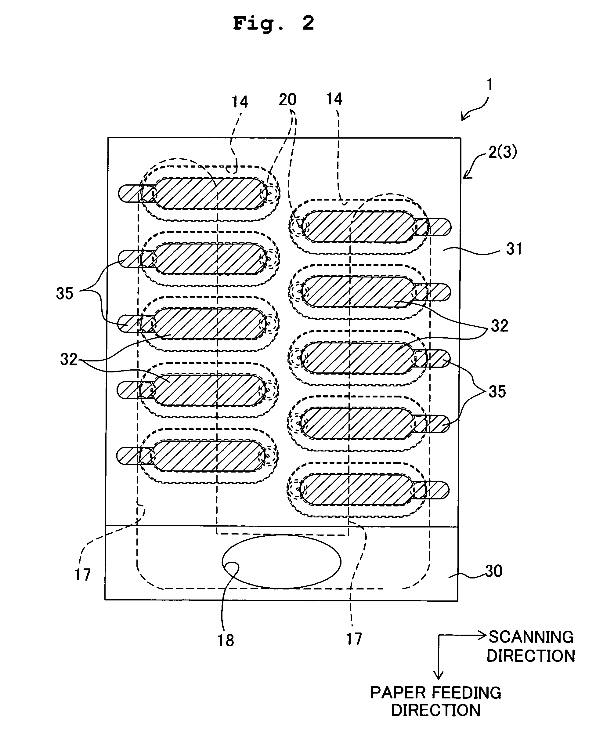 Piezoelectric actuator and liquid transporting apparatus