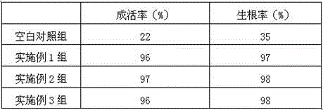 Rooting agent containing kava extract and preparation method thereof