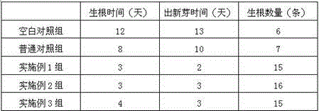 Rooting agent containing kava extract and preparation method thereof