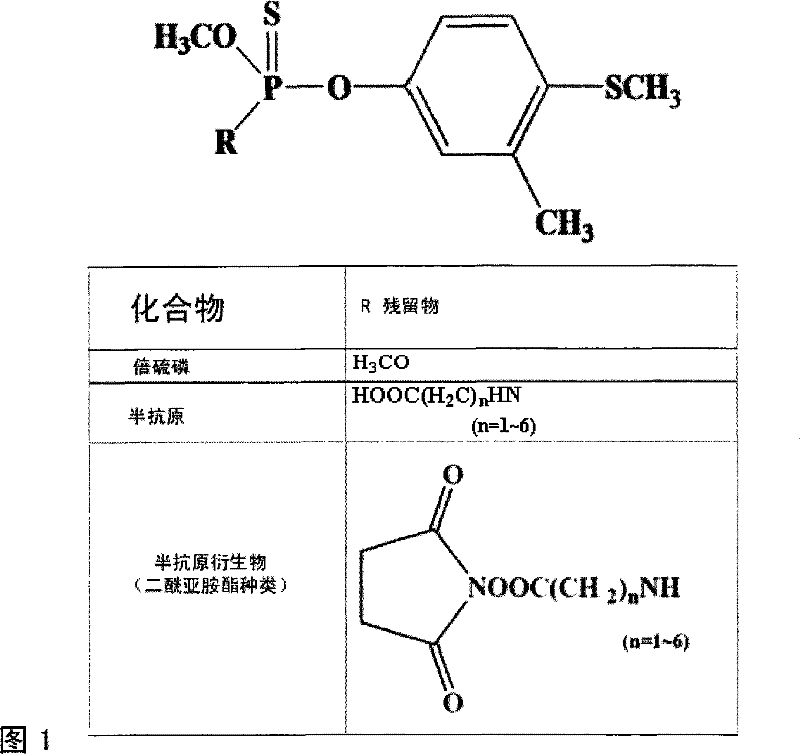 Method for detecting content of fenthion