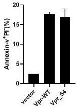 Application of Vpr protein N-terminal amino acid polypeptide for regulating and controlling tumor cell apoptosis in preparation of antitumor drugs