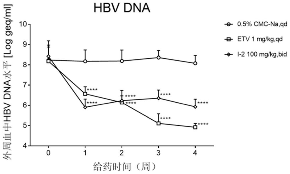 4-pyridine substituted phthalazinone compound as well as preparation method, pharmaceutical composition and application thereof