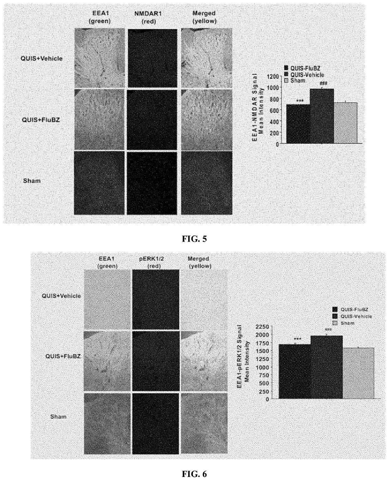 Attenuation of neuropathic pain after spinal cord injury