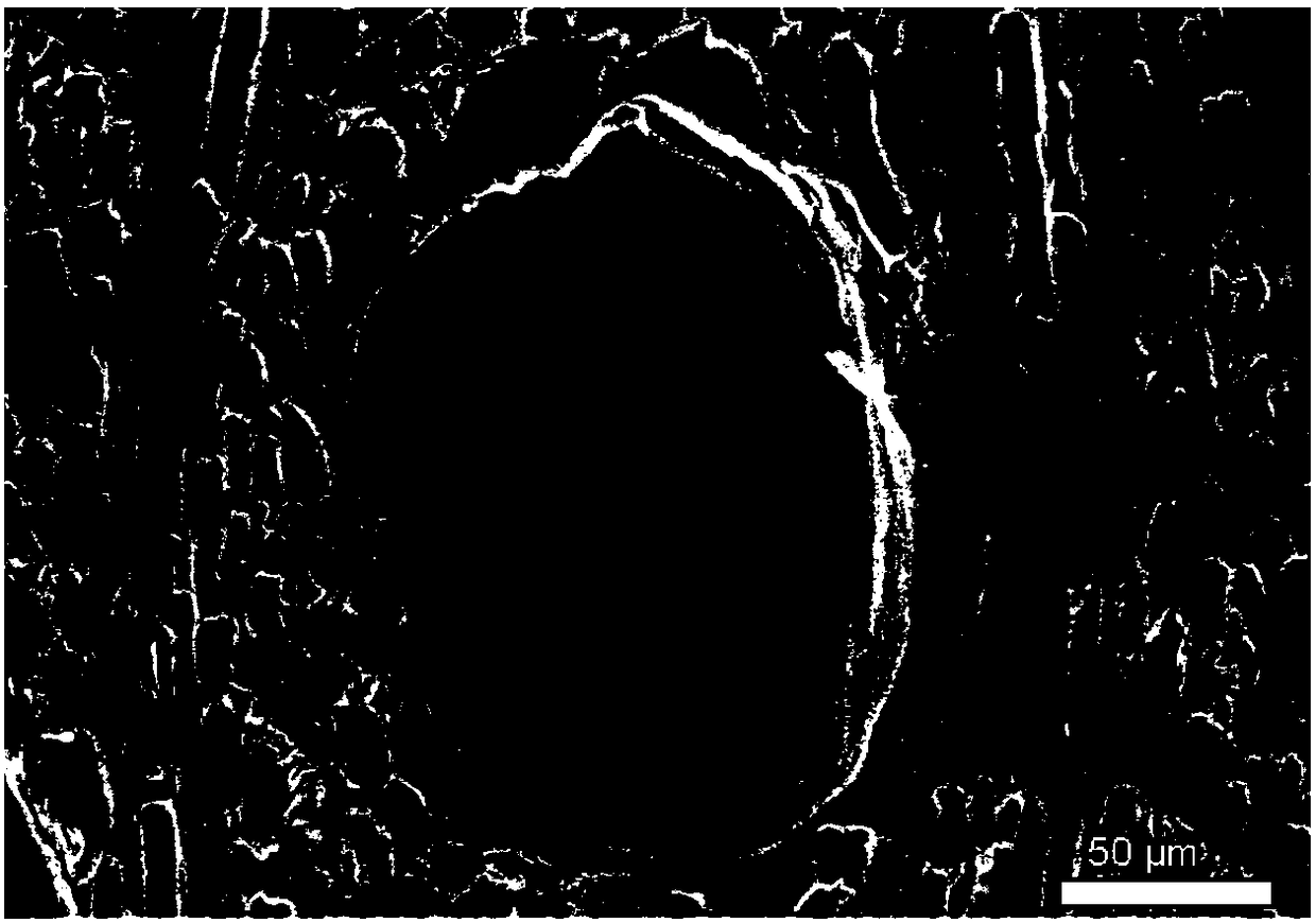 A reinforcement method for saturated wooden cultural relics using nanocellulose