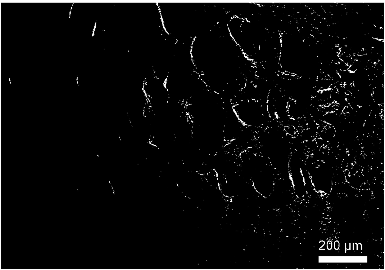 A reinforcement method for saturated wooden cultural relics using nanocellulose