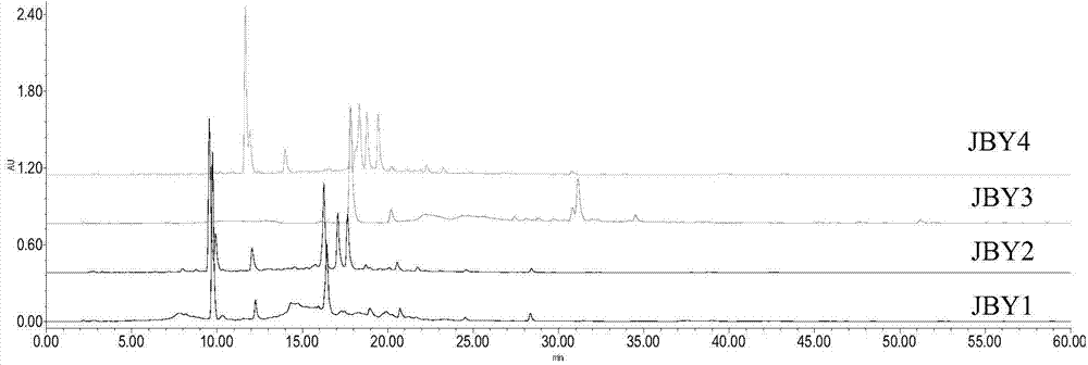 Construction method of fingerprint of Ilex rotunda thunb medicinal material and detection method of Ilex rotunda thunb medicinal material