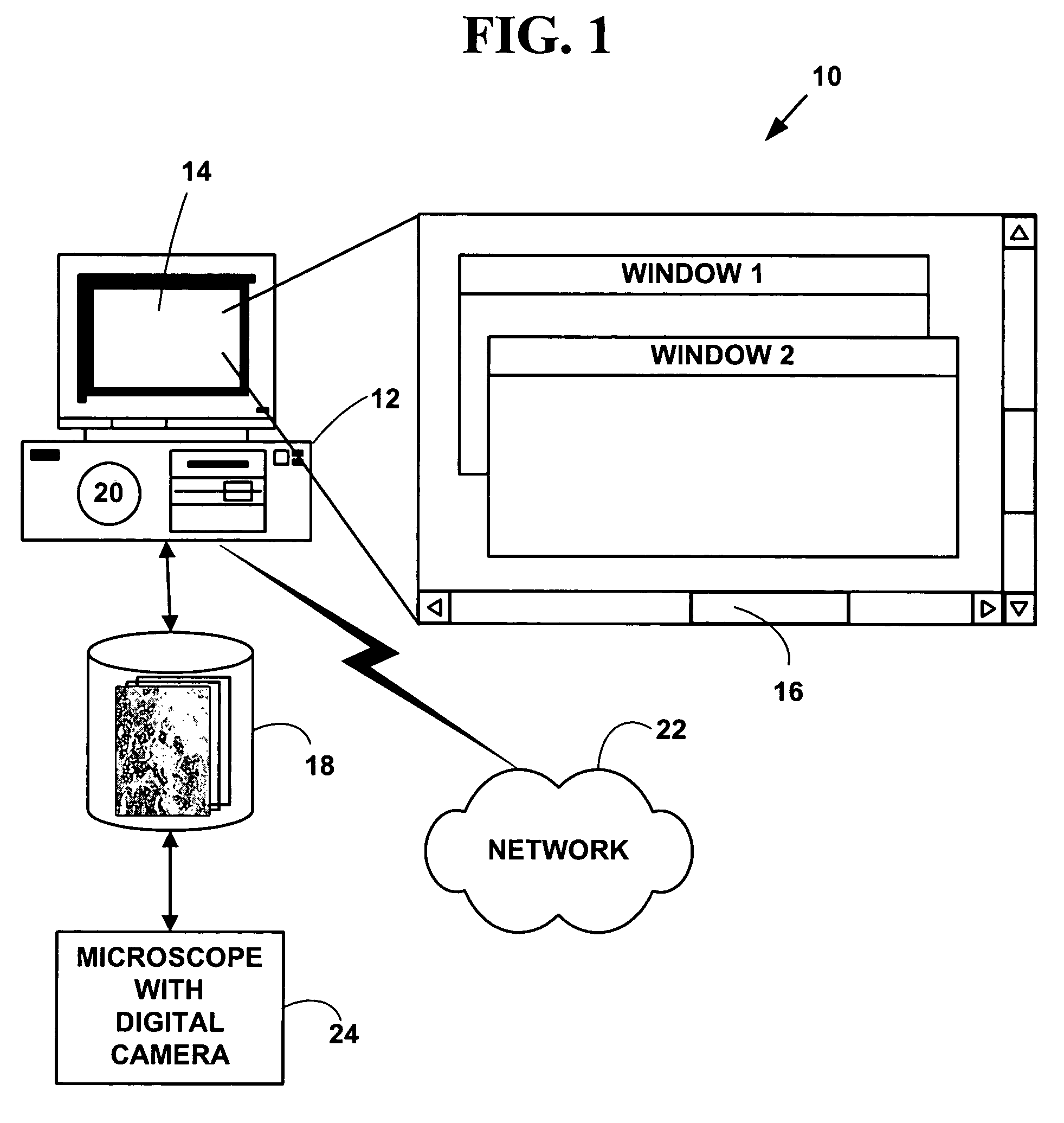 Method and system for quantitatively analyzing biological samples