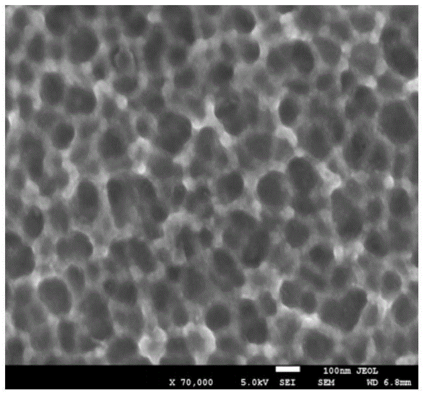 A kind of preparation method of surface porous niti shape memory alloy