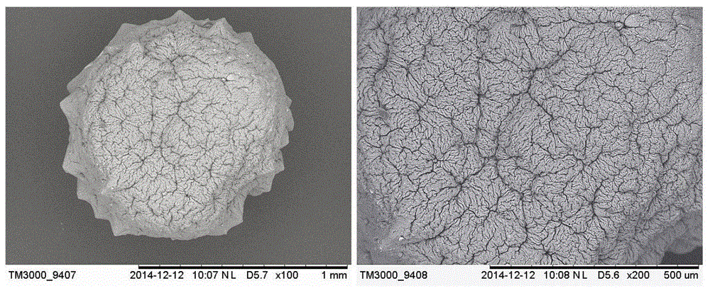 A kind of preparation method of magnetic core-shell alginate microsphere adsorbent