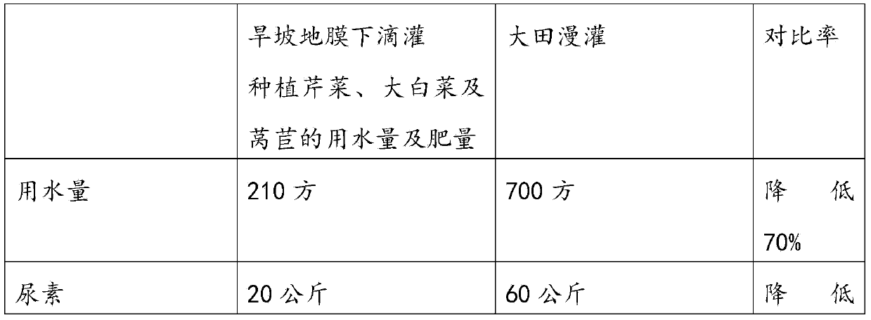 Method for drip irrigation vegetable planting below dry slope land membrane