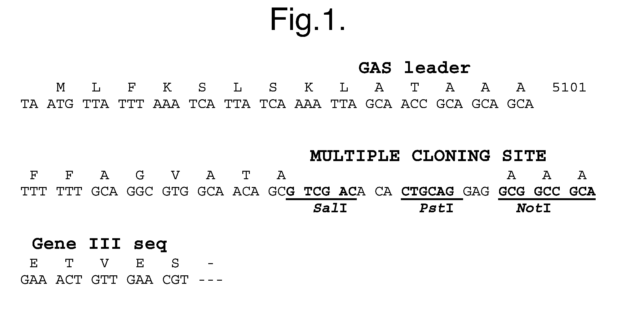 Polypeptides, antibody variable domains and antagonists