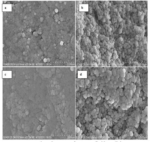 A kind of 6-aminopyridine-3-carboxylic acid chelating resin and preparation method thereof