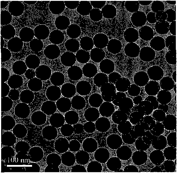 Ru(bpy)3-doped Ag@SiO2 fluorescent nano particles and preparation method thereof