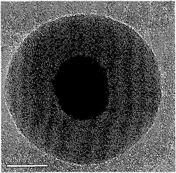 Ru(bpy)3-doped Ag@SiO2 fluorescent nano particles and preparation method thereof