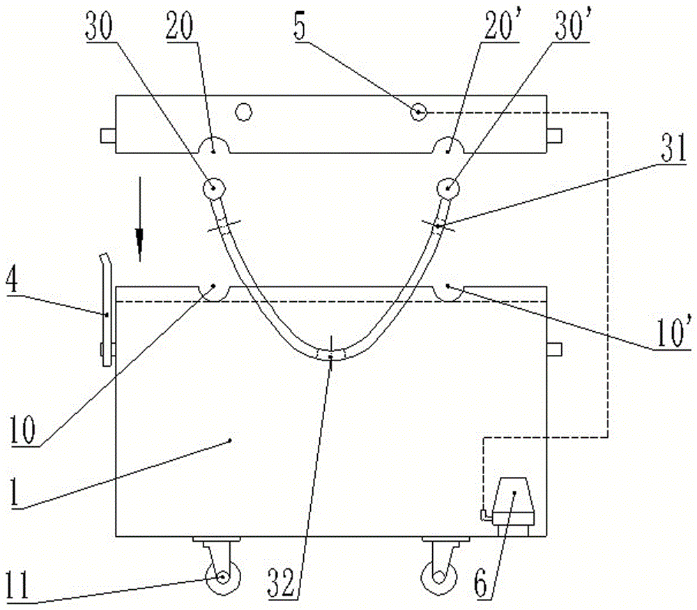 Special-purpose treatment device for skin diseases of finless porpoise