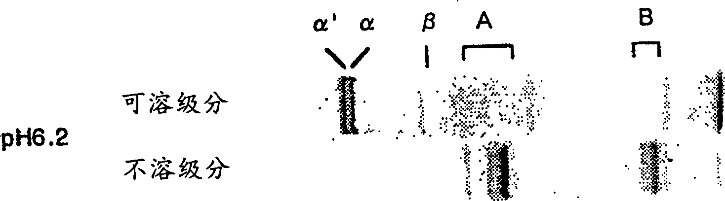 Fractionation of soybean 7s globulin and 11S globulin and process for producing the same