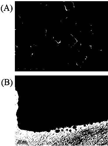 A method for preparing plasma composite photocatalyst