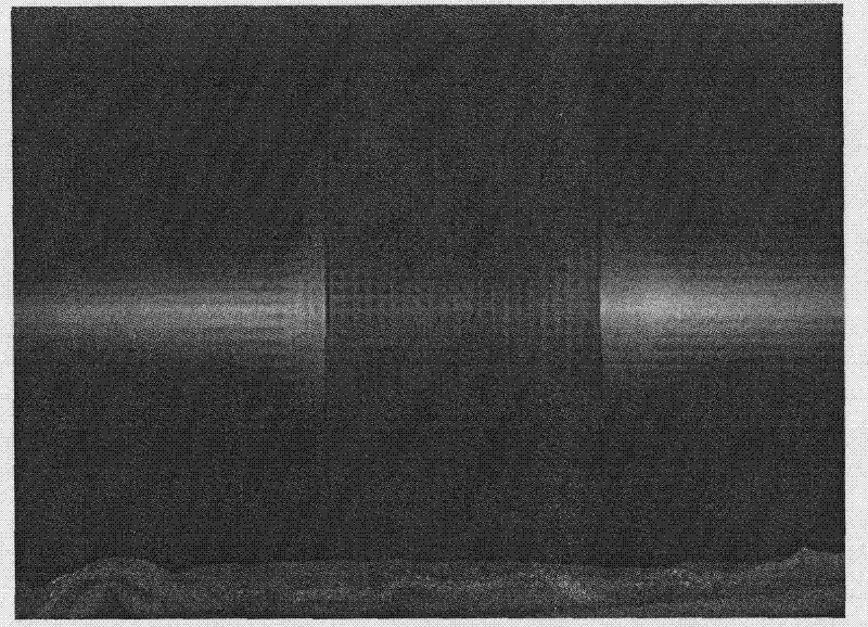 Method for analysis and on-line monitoring of vibration performance of band steel in continuous annealing unit furnace