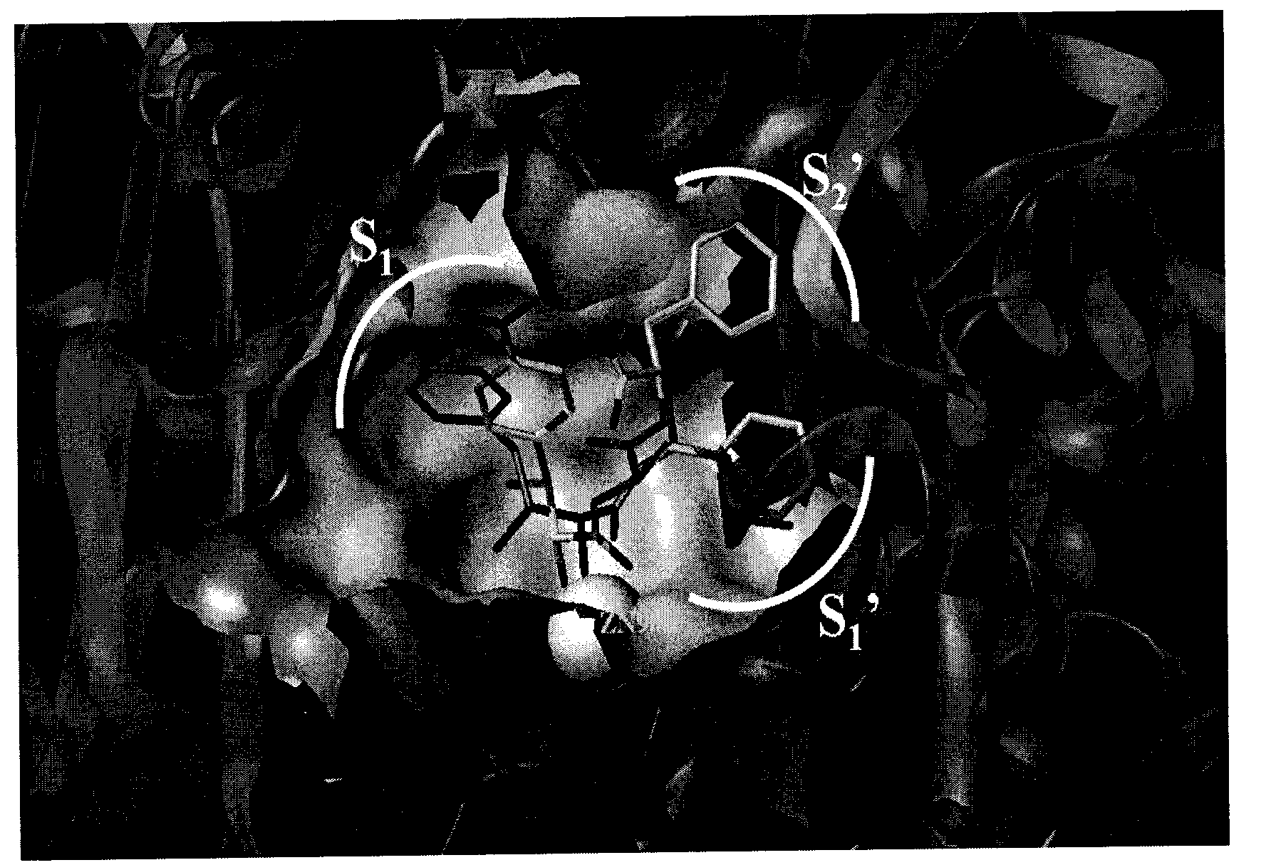 2-amino-1-(4-nitro phenyl)-1-ethanol metalloid protease inhibitor, and preparation and use thereof